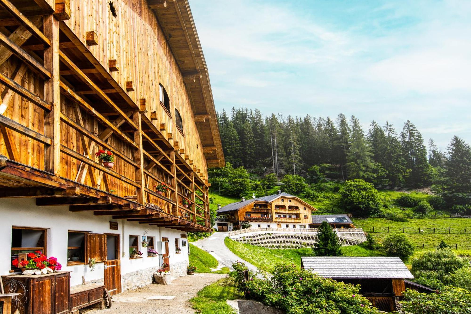 Farm Chalet Jusciara Бадія Екстер'єр фото